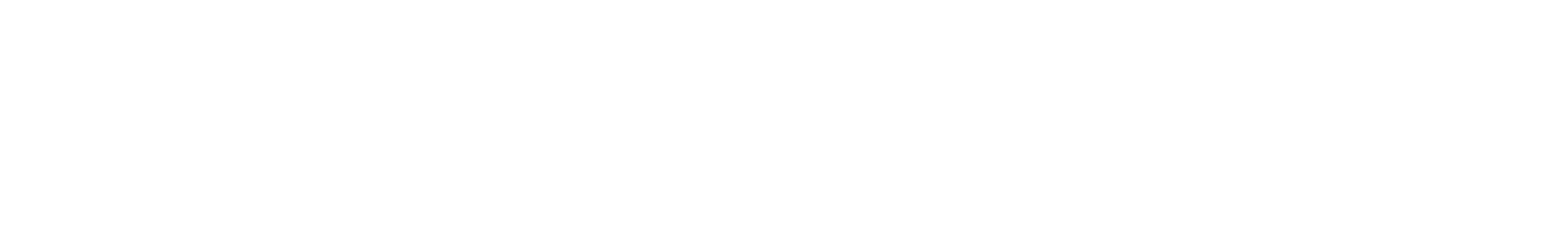 Logo Canal Control in weiß
